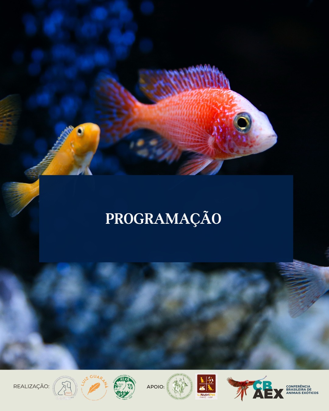 Inscrição CBAEX - Categoria estudante Med. Veterinária - Imagem 2